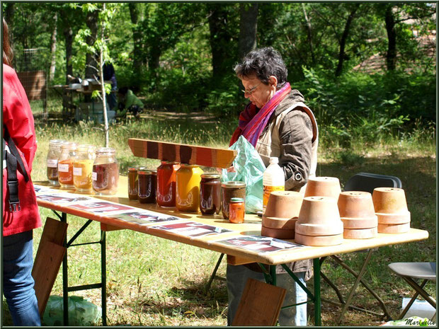 Atelier de peinture aux ocres et  farine sur bois à la Fête de la Nature 2013 au Parc de la Chêneraie à Gujan-Mestras (Bassin d'Arcachon)
