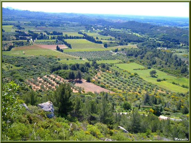 Vue panoramique sur la vallée (oliveraies, ajoncs en fleurs...) depuis l'esplanade du château, Château des Baux-de-Provence, Alpilles(13)