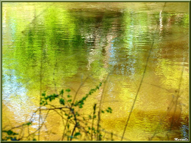 Reflets en bordure de La Leyre, Sentier du Littoral au lieu-dit Lamothe, Le Teich, Bassin d'Arcachon (33)