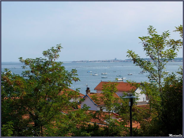 Village de L'Herbe vu des hauteurs, le Bassin d'Arcachon à perte de vue et Arcachon à l'horizon (33)