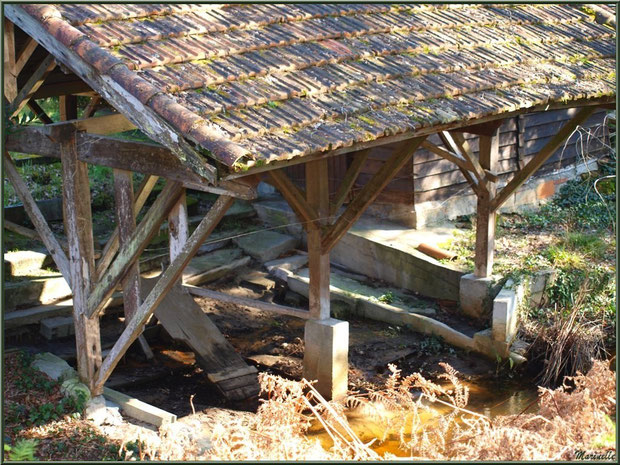 Ancien lavoir au Parc de la Chêneraie, en automne, Gujan-Mestras (Bassin d'Arcachon)