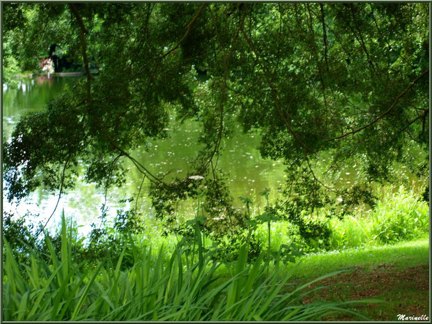 Le sentier de la Vallée du Bas : on devine le Grand Etang derrière les arbres - Les Jardins du Kerdalo à Trédarzec, Côtes d'Armor (22) 