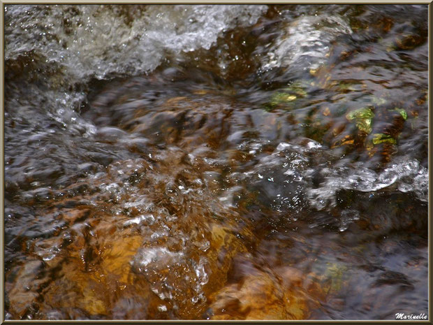 La Leyre et ses remous tels des pierres précieuses, Sentier du Littotal au lieu-dit Lamothe, Le Teich, Bassin d'Arcachon (33)