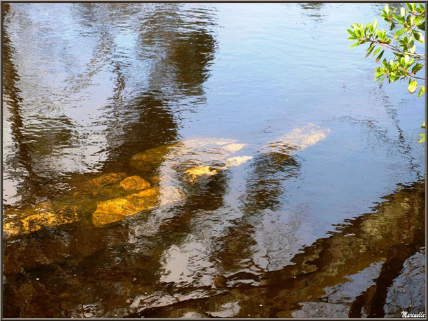 Pierres et leurs reflets d'or dans le Canal des Landes au Parc de la Chêneraie à Gujan-Mestras (Bassin d'Arcachon)