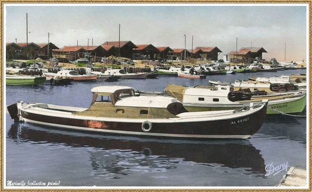 Gujan-Mestras autrefois : Pinasses, chalands... dans la darse principale du Port de Larros, Bassin d'Arcachon (carte postale- version couleur, collection privée)