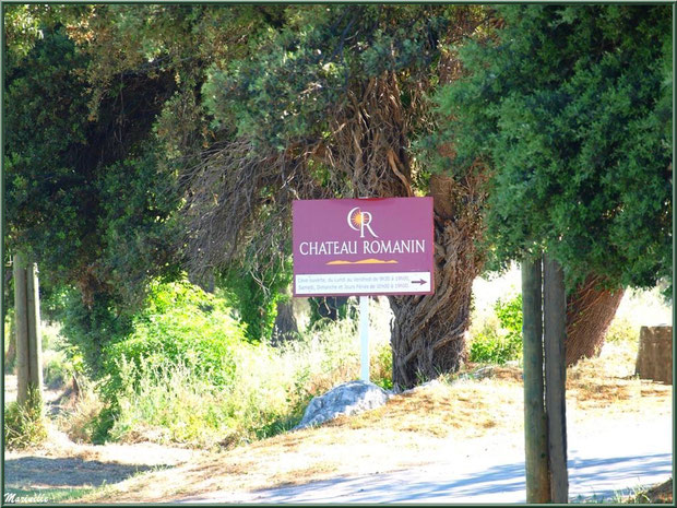 Entrée du vignoble du Château Romanin à Saint Rémy de Provence, Alpilles (13)