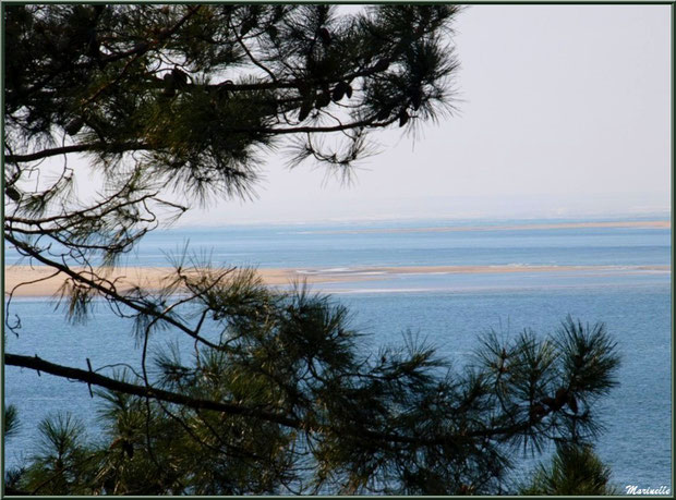 Vue depuis les hauteurs de La Corniche à Pyla-sur-Mer, Bassin d'Arcachon (33) : le Bassin, bancs de sable, Banc d'Arguin et les Passes en toile de fond