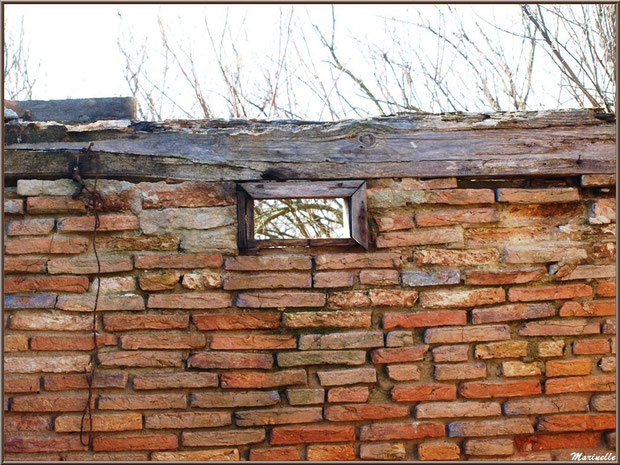 Ruines d'une ancienne maison d'un garde pêche-chasse avec un des murs intérieurs en briquettes , Sentier du Littoral, secteur Domaine de Certes et Graveyron, Bassin d'Arcachon (33)