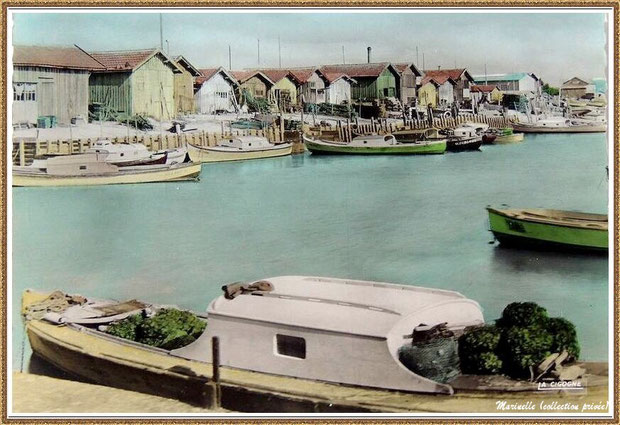 Gujan-Mestras autrefois : Pinasses dans la darse principale du Port de Larros, Bassin d'Arcachon (carte postale -version couleur, collection privée)