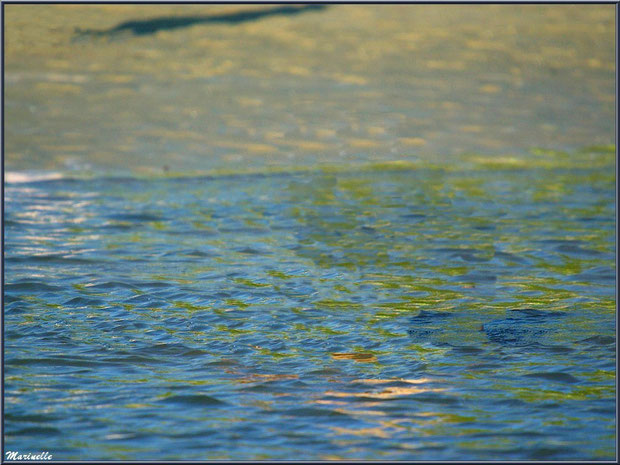 Reflets dans l'eau, côté plage de la jetée à Arès (Bassin d'Arcachon)