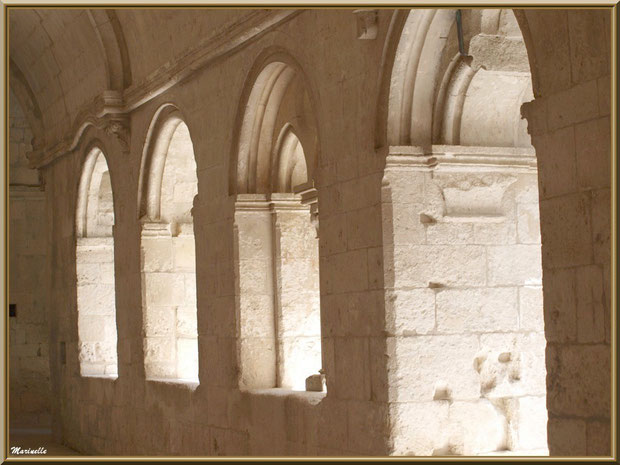 Le cloître de l'abbaye de Silvacane, Vallée de la Basse Durance (13)