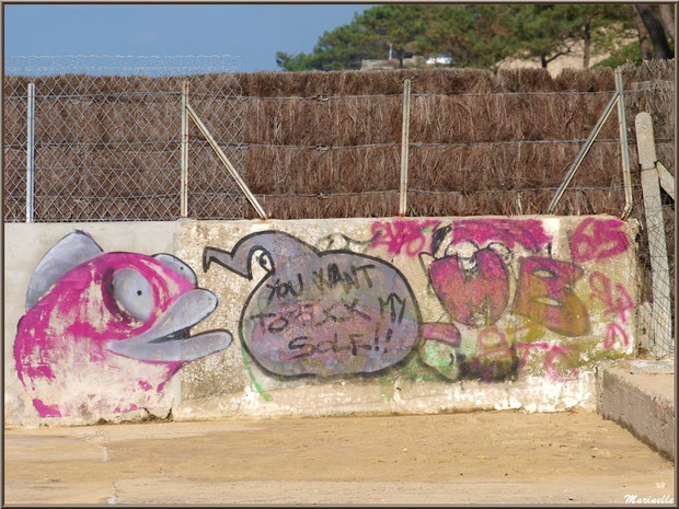 Tags et graffitis sur une murette de la jetée à La Corniche à Pyla-sur-Mer, Bassin d'Arcachon (33)