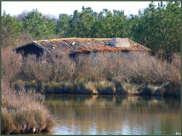 Cabane et ses reflets au milieu d'un des réservoirs sur le Sentier du Littoral, secteur Moulin de Cantarrane, Bassin d'Arcachon (ancienne maison d'un garde chasse-pêche ou éclusier) 