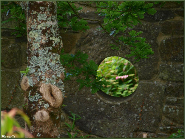 La Lande Dorée (oeil dans un mur)  - Les Jardins du Kerdalo à Trédarzec, Côtes d'Armor (22)