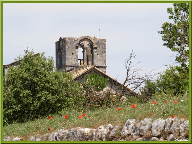 Le clocher carré de l'abbaye de Silvacane, Vallée de la Basse Durance (13) : vue depuis le chemin menant à l'abbaye