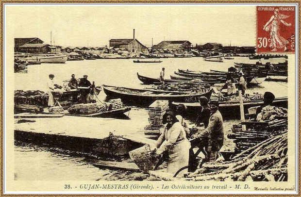 Gujan-Mestras autrefois : en 1937-1938, ostréiculteurs au travail dans la darse principale du Port de Larros, Bassin d'Arcachon (carte postale, collection privée)