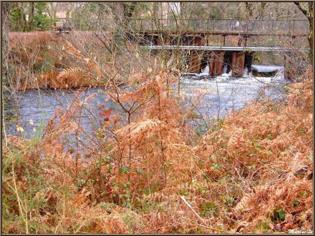 Une des écluses surmontée d'un pont sur le Canal des Landes au Parc de la Chêneraie à Gujan-Mestras (Bassin d'Arcachon)