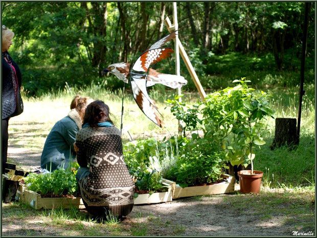 Atelier jardinage bio à la Fête de la Nature 2013 au Parc de la Chêneraie à Gujan-Mestras (Bassin d'Arcachon)