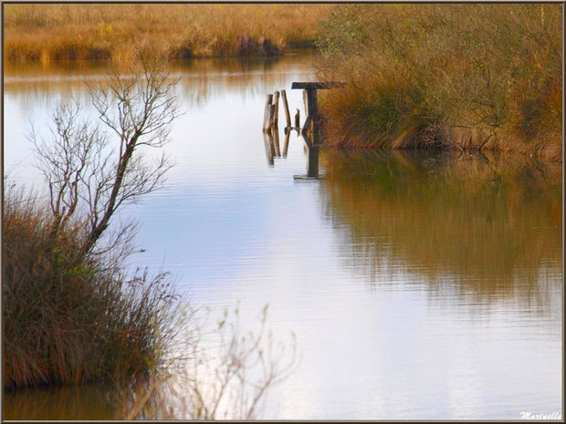 Ancien ponton et ses reflets dans un réservoir, Sentier du Littoral, secteur Moulin de Cantarrane, Bassin d'Arcachon