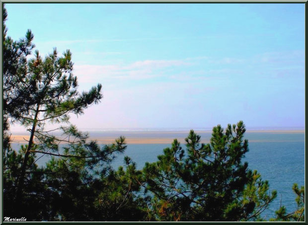 Vue depuis les hauteurs de La Corniche à Pyla-sur-Mer, Bassin d'Arcachon (33) : le Bassin, bancs de sable, Banc d'Arguin et les Passes en toile de fond