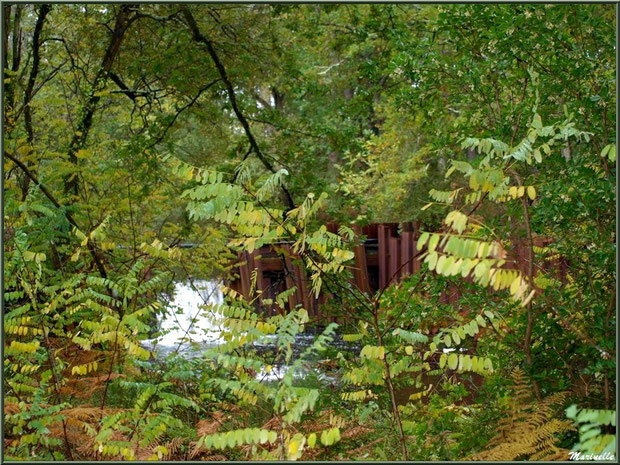 Une des écluses derrière la végétation automnale sur le Canal des Landes au Parc de la Chêneraie à Gujan-Mestras (Bassin d'Arcachon)