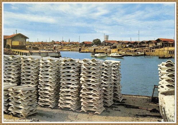 Gujan-Mestras autrefois : tuiles sur quai à l'entrée de la darse secondaire (darse principale en face de l'autre côté du "Pointon"), Port de Larros, Bassin d'Arcachon (carte postale, collection privée)