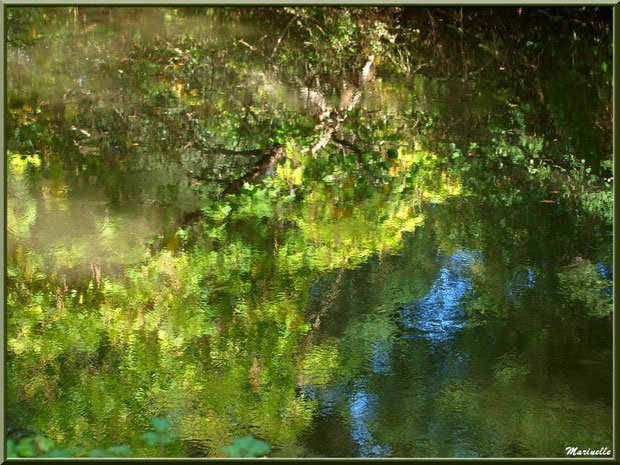 Reflets d'automne sur La Leyre, Sentier du Littoral au lieu-dit Lamothe, Le Teich, Bassin d'Arcachon (33)