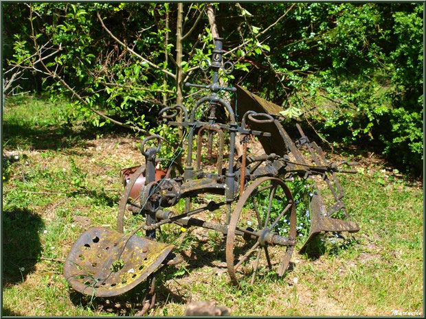 Matériel agricole ancien à la Pisciculture des Sources à Laruns, Vallée d'Ossau (64)