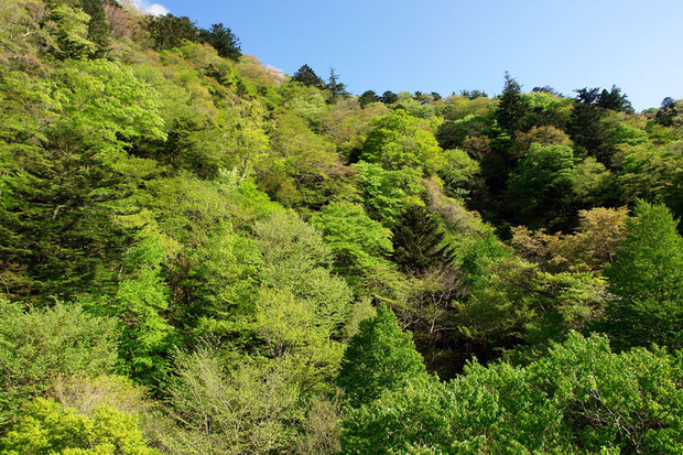 福島県　浜通りの渓谷