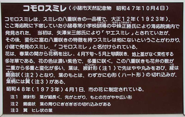 海應院にあった案内板