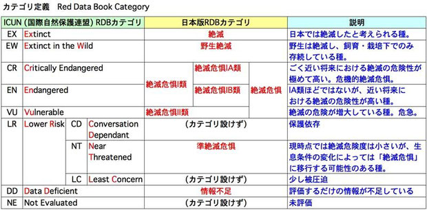 カテゴリ定義　Red Data Book Category