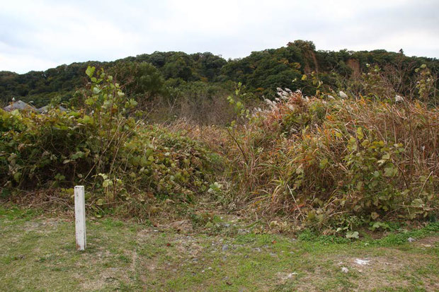 河原への小径は、クズやススキなどの植物で覆われ見えなくなっていた...　別のルートで入りました