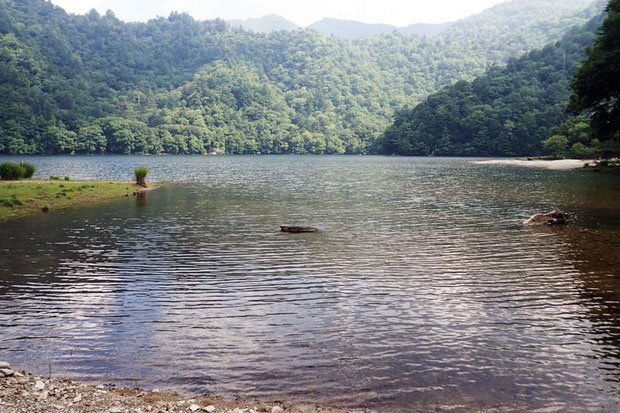 観光客もここまでは来ない　静まり返った湖岸を探す