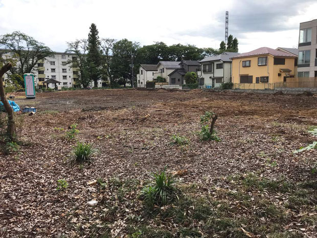 ギンランの森は伐採され、更地になった。　戸建てかマンションが建つのだろう　　2021.06.20