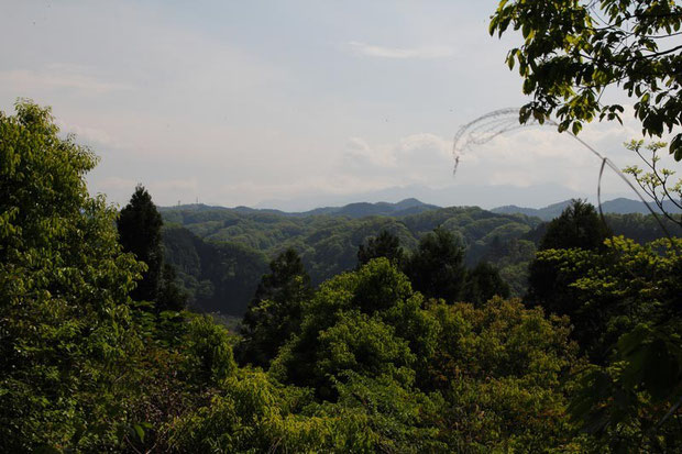 山頂からの眺め