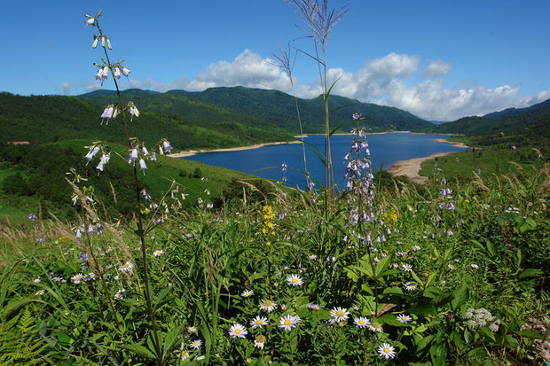 野反湖の風景（8月）