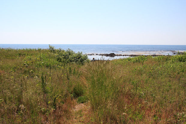 自生地の海岸への入口。　期待しながら海岸に向かっった。　5月とは思えない猛烈な暑さだった！　　