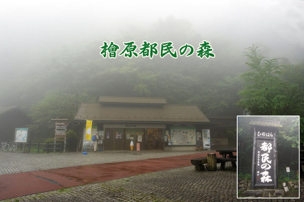 檜原都民の森の入口　雨に煙っていた　　2008.08.17　東京都