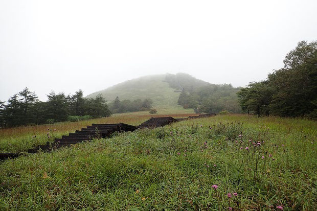 延々と続く階段　奥の山の上まで続く　花が少ないので階段の写真ばっかりでスミマセン