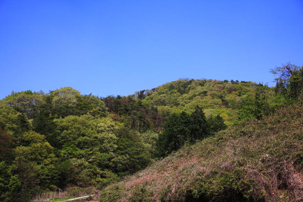 里山は新緑が輝いていた　　2015.04.26　栃木県