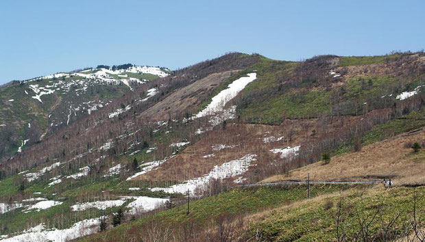 　八間山も上部には雪が残っていました