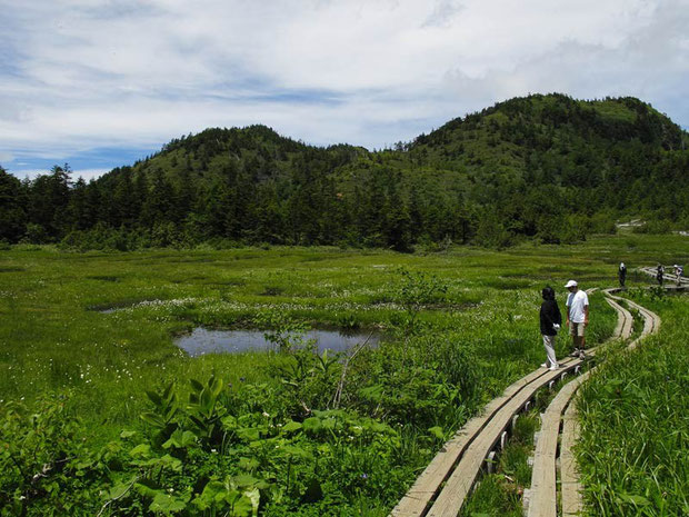 四十八池と志賀山　　湿原には大小約60の池塘があるそうです