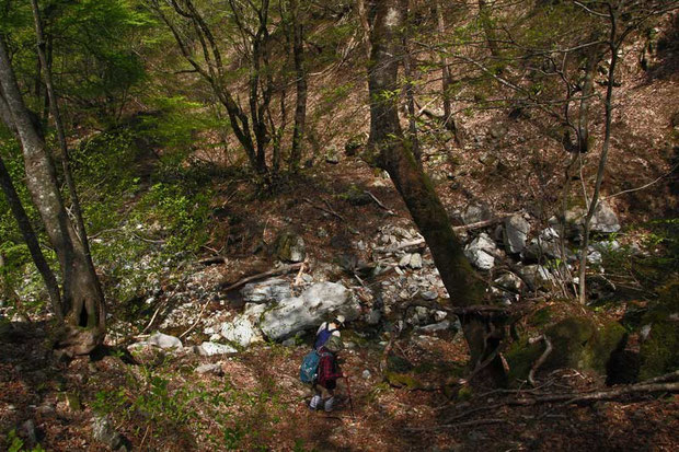 かつてはあったのかも知れない登山道の痕跡は、ほとんど残っていない
