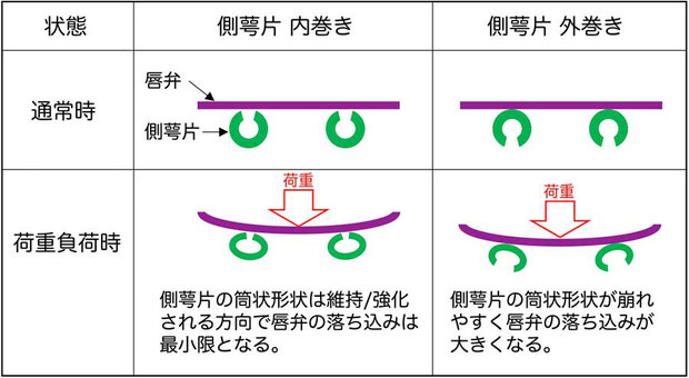 図１　側萼片の巻く方向による強度の違い