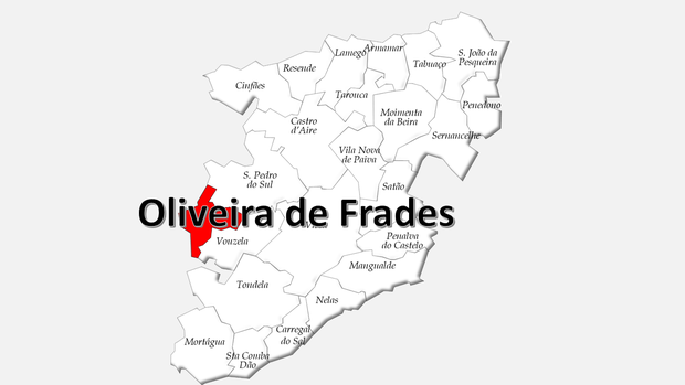 Localização do concelho de Oliveira de Frades no distrito de Viseu