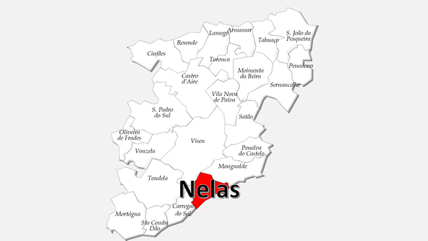 Localização do concelho de Nelas no distrito de Viseu