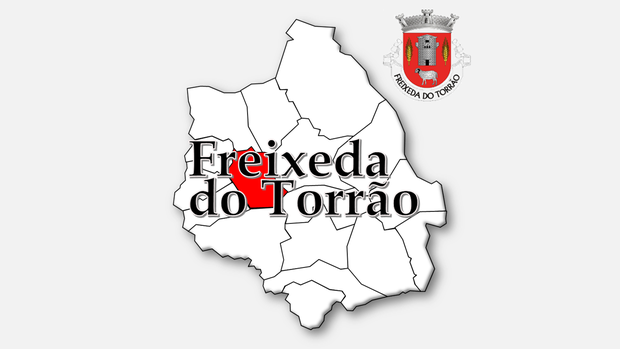 Freguesia de Freixeda do Torrão  (Figueira de Castelo Rodrigo)