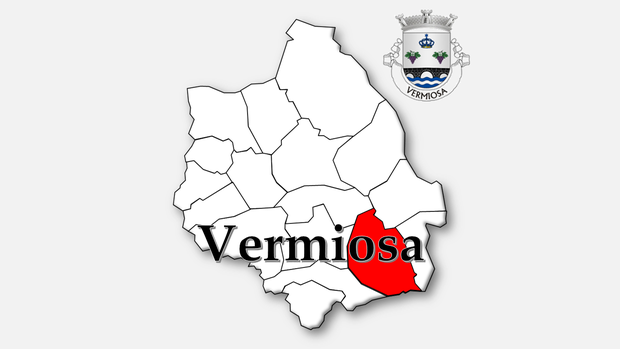 Freguesia de Vermiosa (Figueira de Castelo Rodrigo)