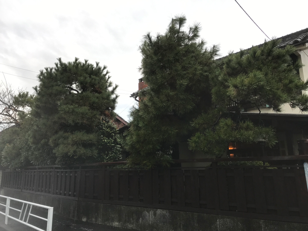 剪定作業のビフォーアフターのイメージ