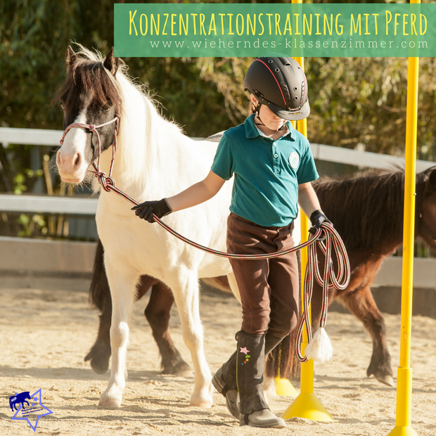 Wieherndes Klassenzimmer: Mit KKP zum Lernerfolg! Konzentrationstraining mit Pferd für Kinder! So verbessern Kinder ihre Konzentrationsfähigkeit mit Pferd.